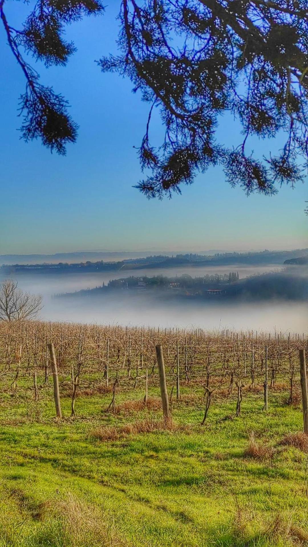 Agriturismo Casa Alle Vacche San Gimignano Zewnętrze zdjęcie