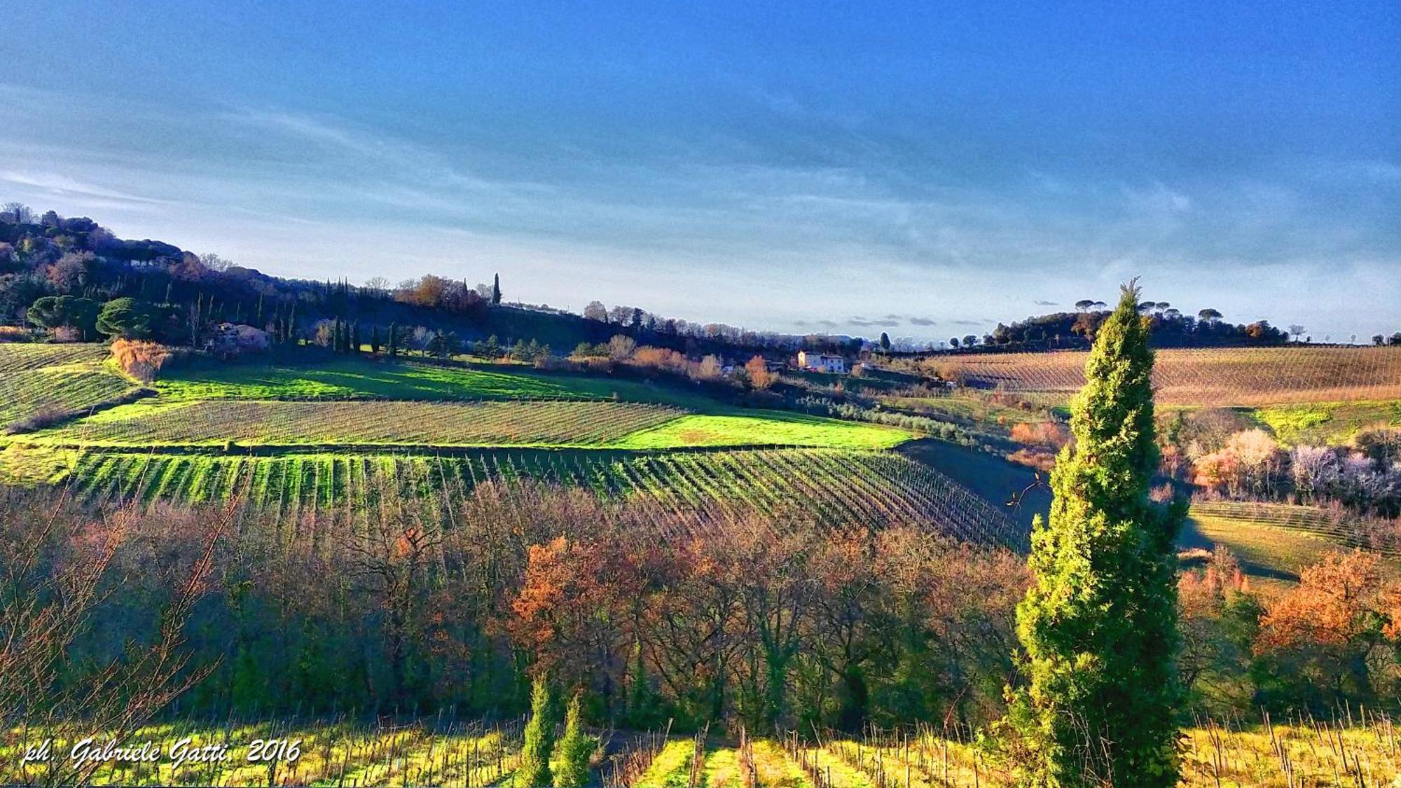Agriturismo Casa Alle Vacche San Gimignano Zewnętrze zdjęcie