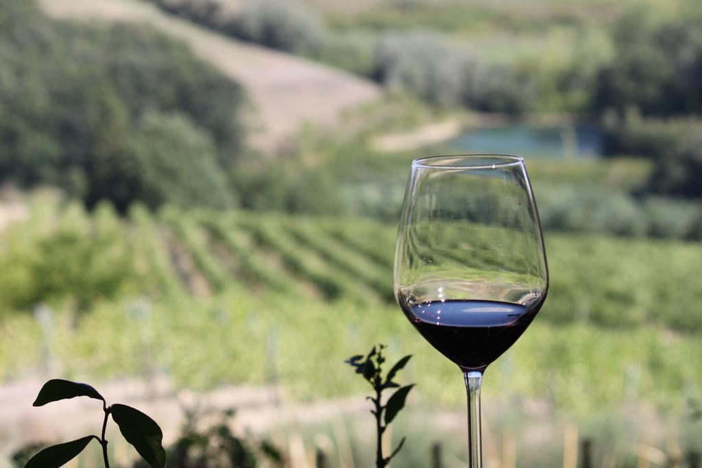 Agriturismo Casa Alle Vacche San Gimignano Zewnętrze zdjęcie