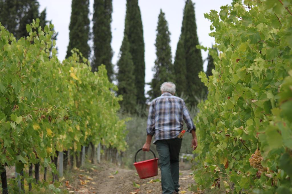 Agriturismo Casa Alle Vacche San Gimignano Zewnętrze zdjęcie