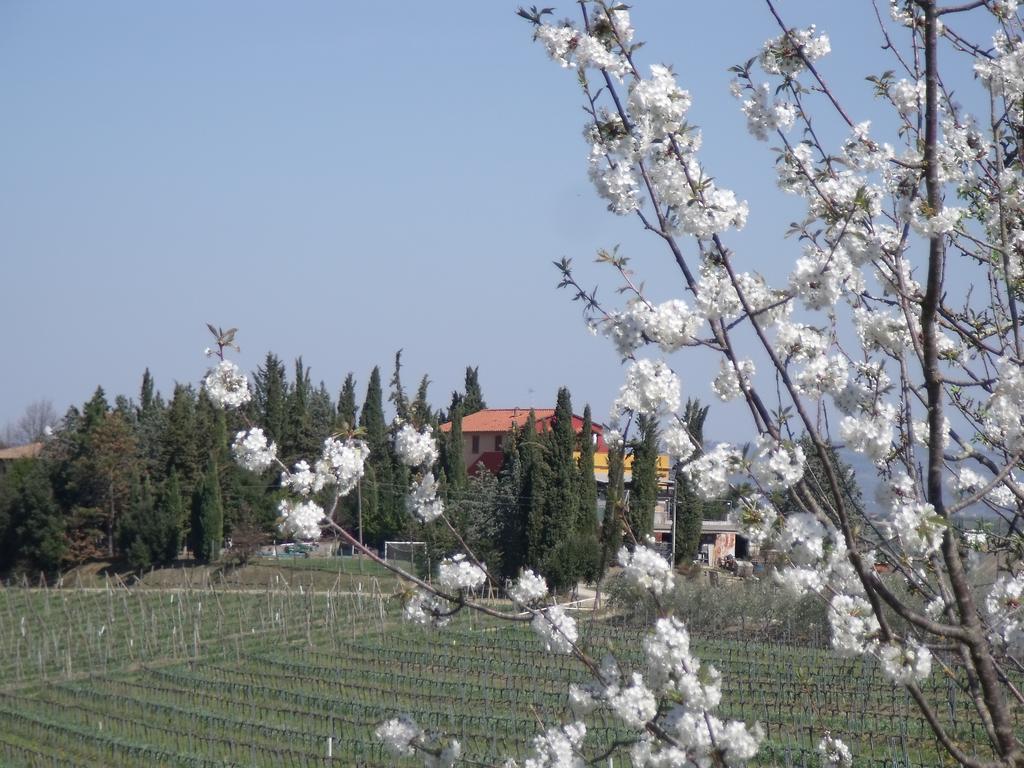 Agriturismo Casa Alle Vacche San Gimignano Zewnętrze zdjęcie